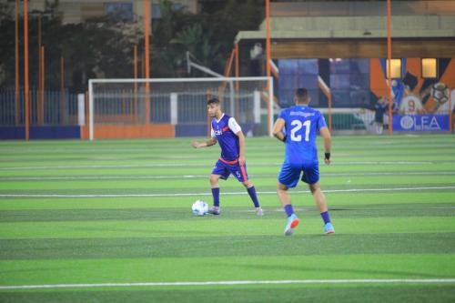 C6MR3593